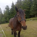 Hébergement de vacances Na Polance *