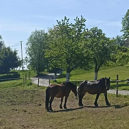 Nyaraló Na Polance Istebna