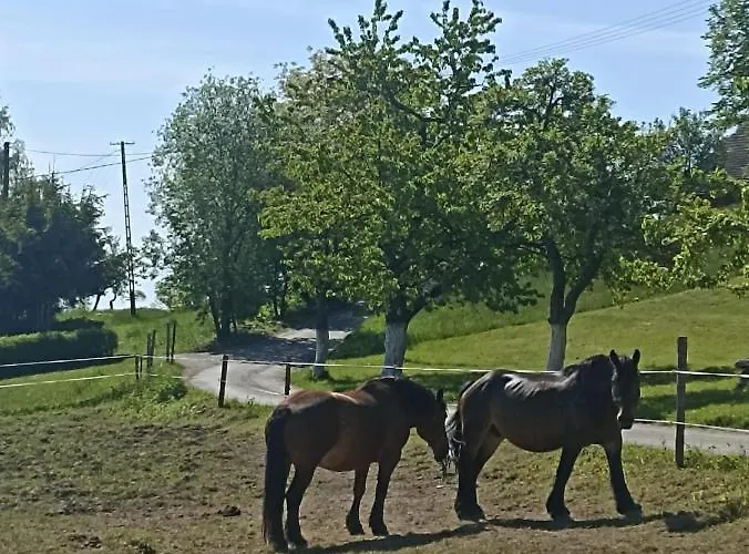 Ferienhaus Na Polance Istebna